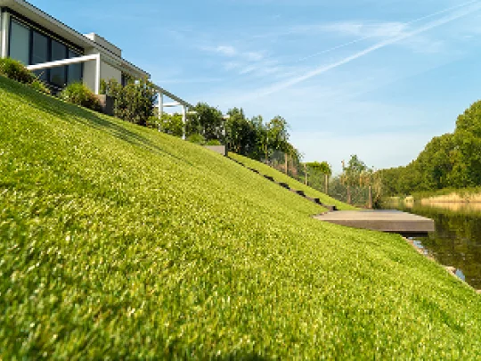 Kom Naar Onze Nieuwe Showtuin